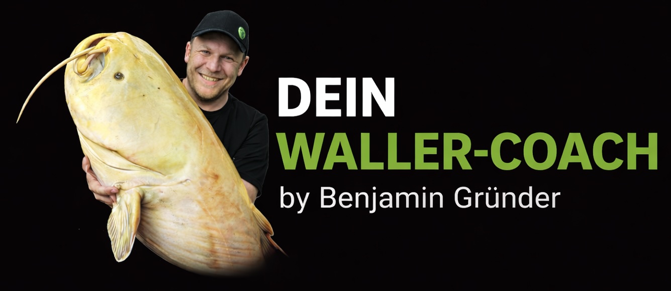 Dein Waller-Coach Logo